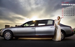 忘忧草app下载软件